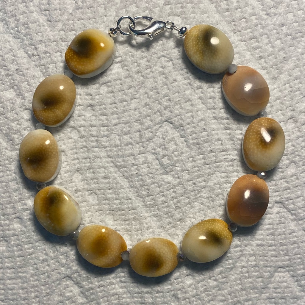 Shell And Czech Glass Accents Bracelet Length 8 Inches